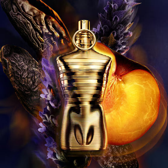 Le Male Elixir Absolu | Parfum Intense