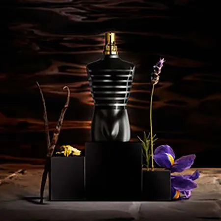 Le Male Le Parfum