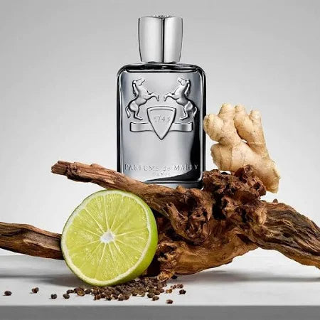Castely Eau de Parfum