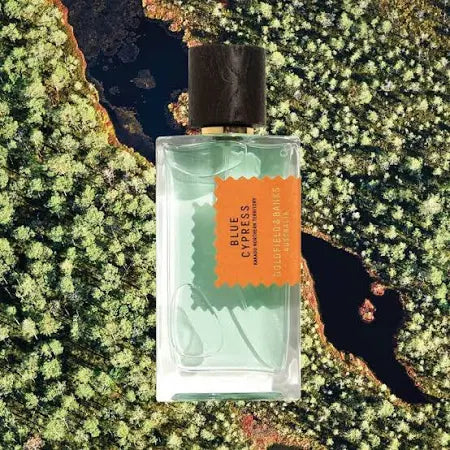Blue Cypress | Perfume Concentrate