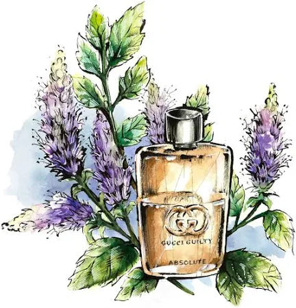 Guilty Absolute Eau De Parfum