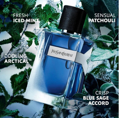 YSL Y Iced Cologne Intense Eau de Toilette 100ml
