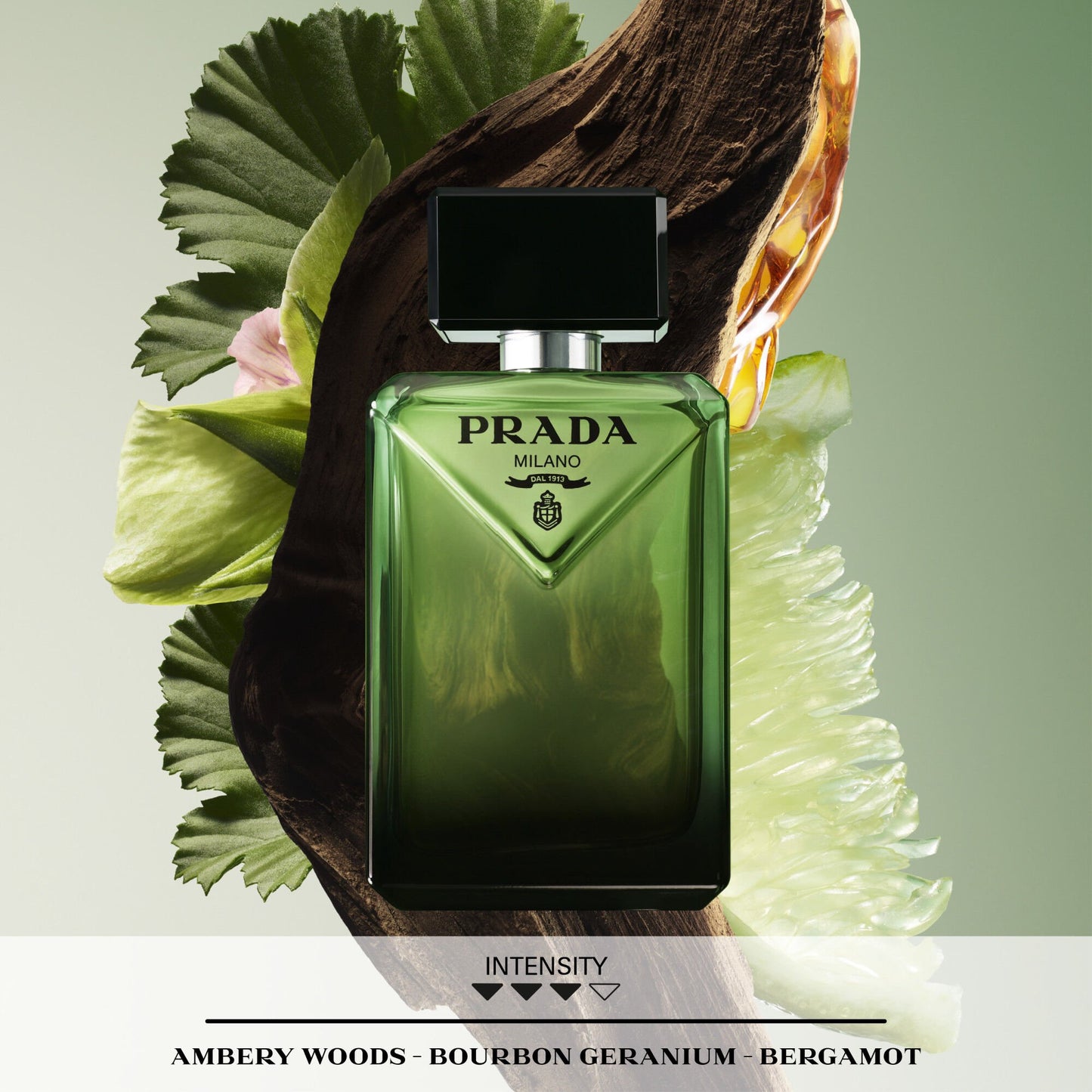Paradigme | Eau de Parfum
