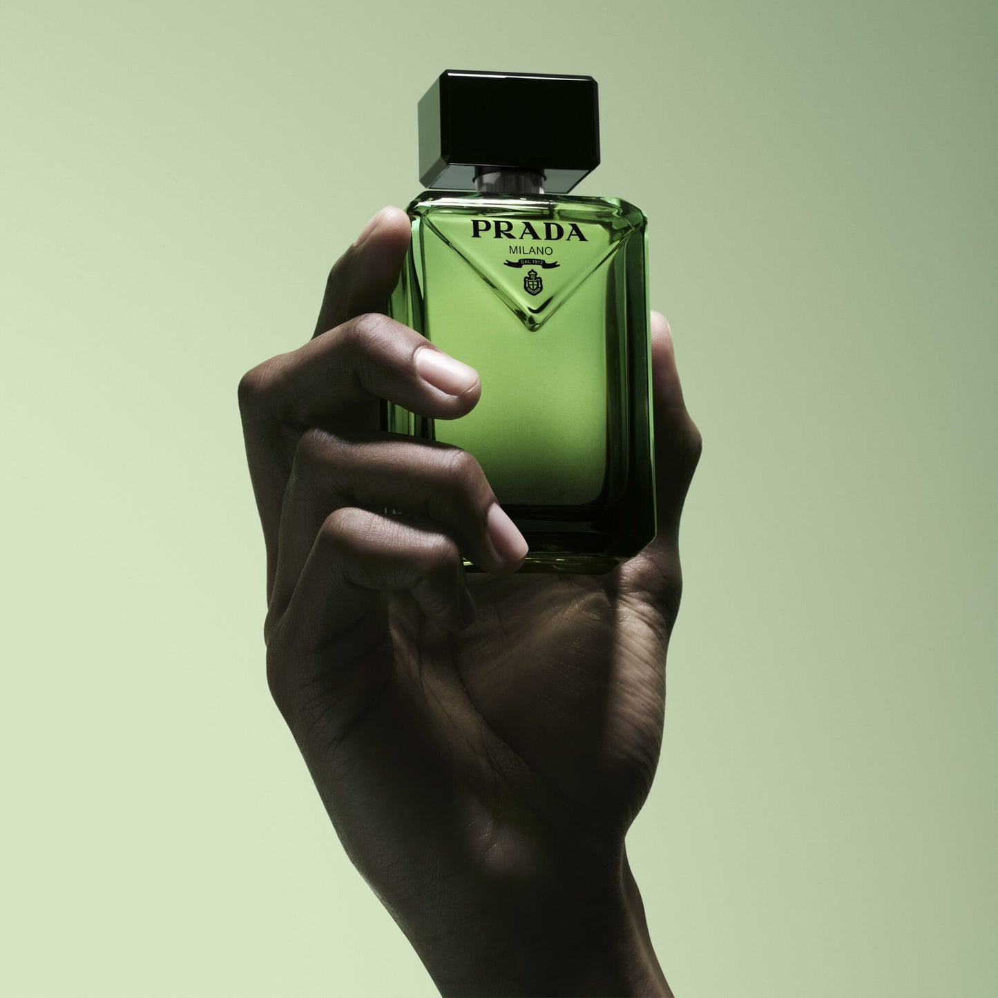 Paradigme | Eau de Parfum