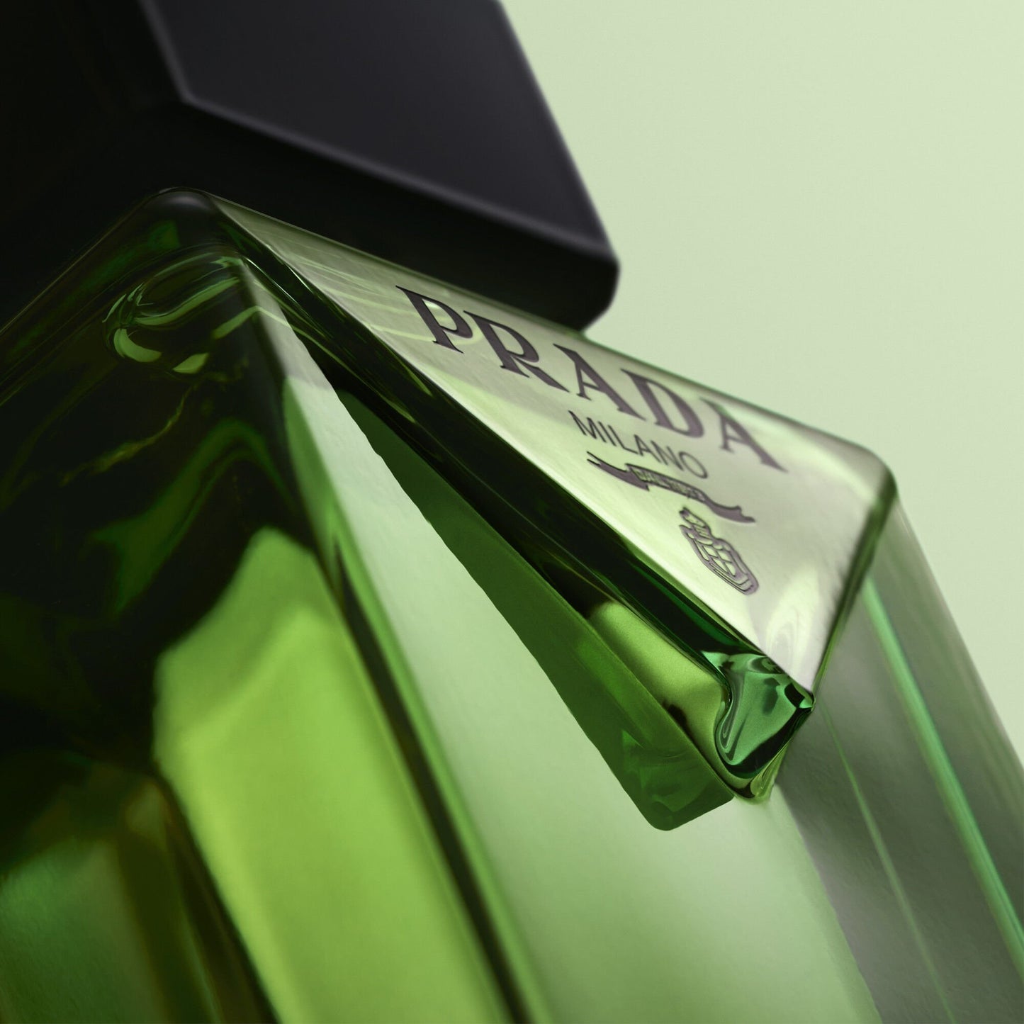Paradigme | Eau de Parfum