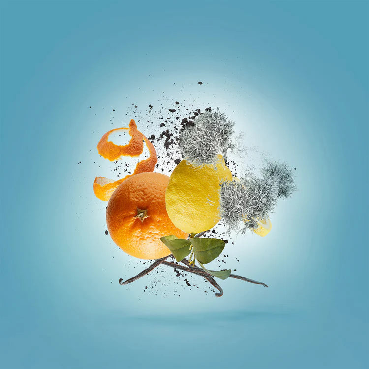 Erba Pura | Eau de Parfum