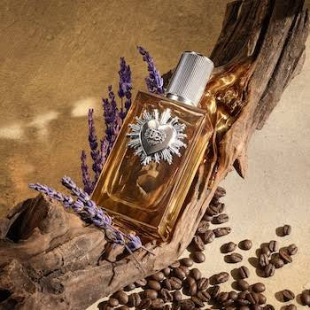 Devotion For Men | Parfum